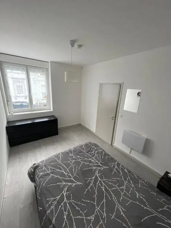 Superbe appartement rénové au centre de Forbach