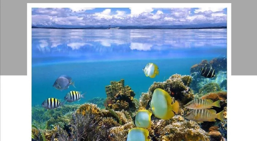 Sueño al Mar Residence