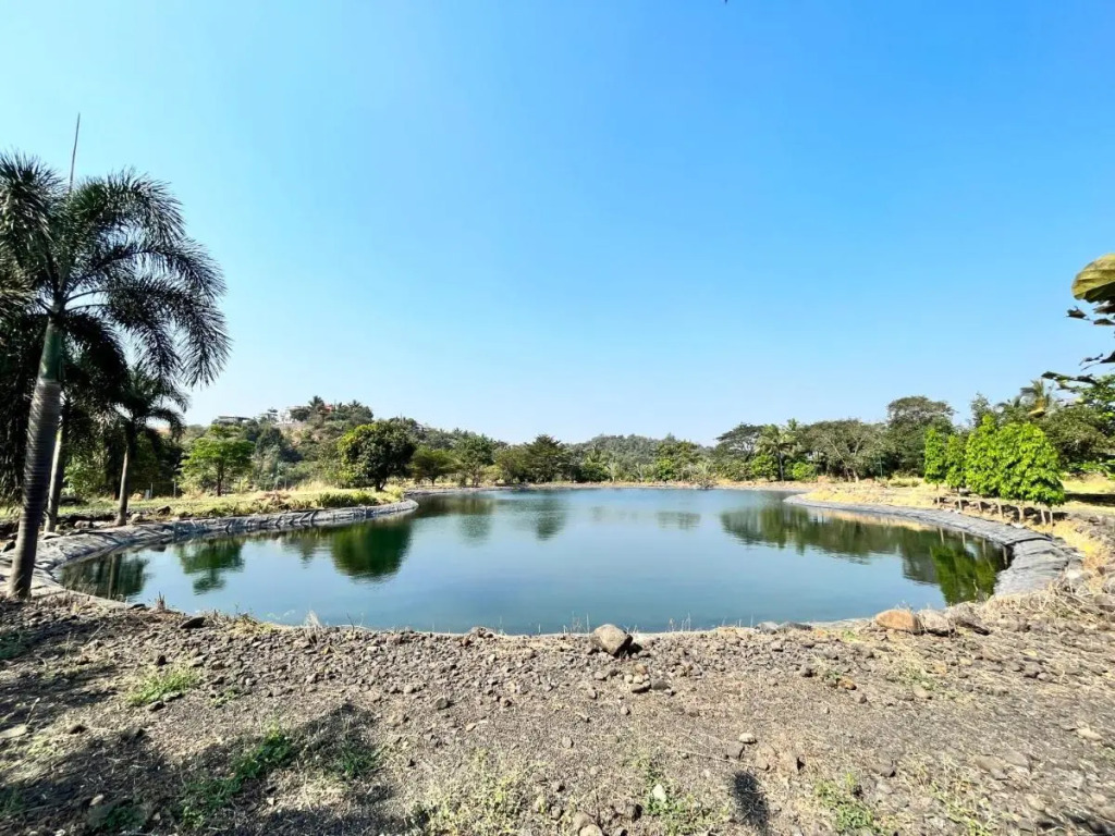 The Riverstone Agro Farm