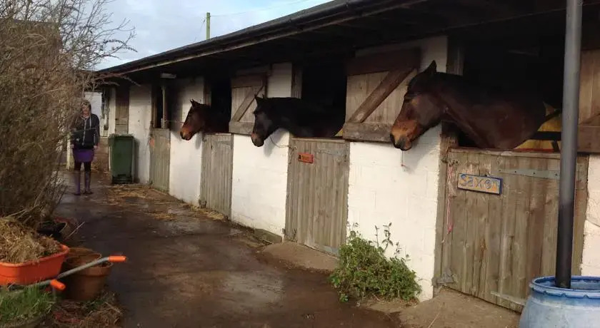 Martleaves Farm
