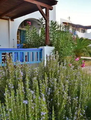 Paradise Hotel