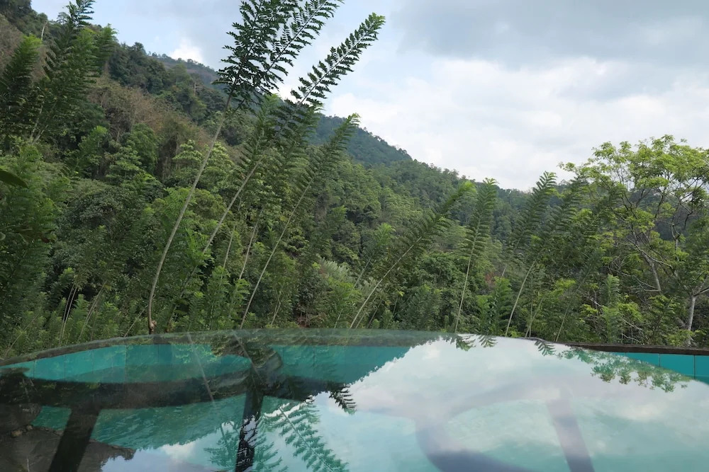 Paradise Eco Garden