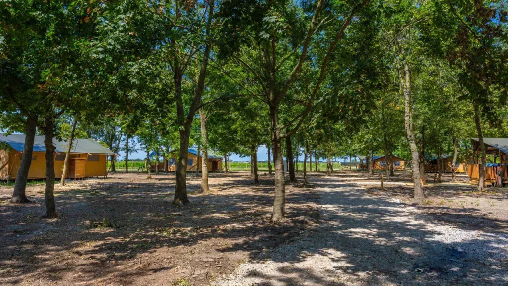 Agriturismo Tenuta Regina - Glamping luxury lodges and apartments