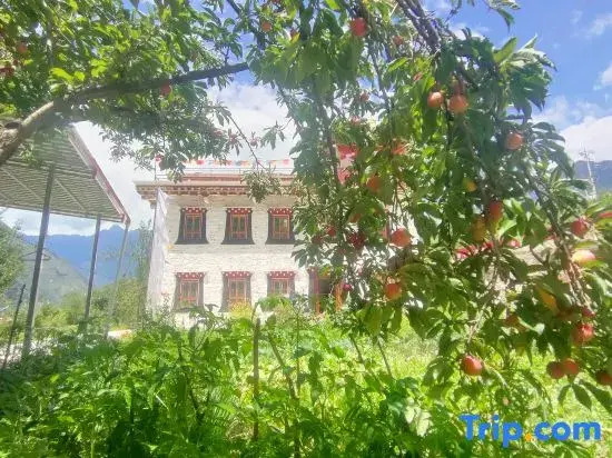 Sangdun Longzhu Homestay (Zhonglu Tibetan Village)