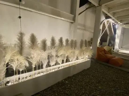 Wan Dai Hou Youth Hostel