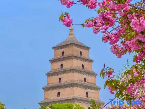 Starway Hotel Xi An Gaoxin Provincial Sports Train
