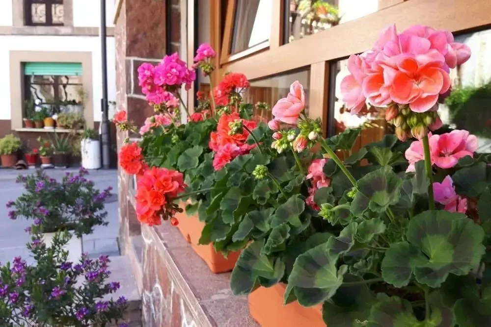 Hostal El Castañeu