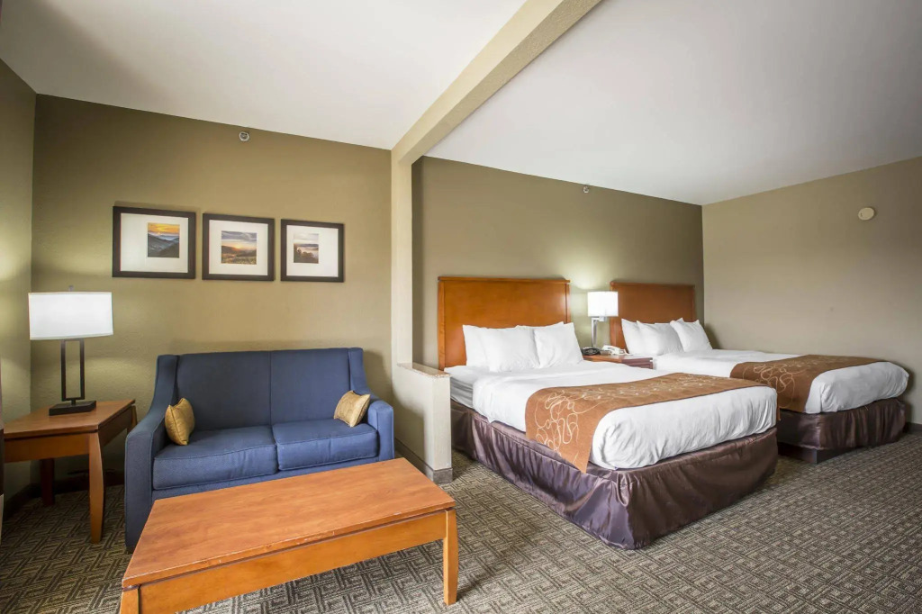 Vista Suites Near Island and Leconte Convention Center