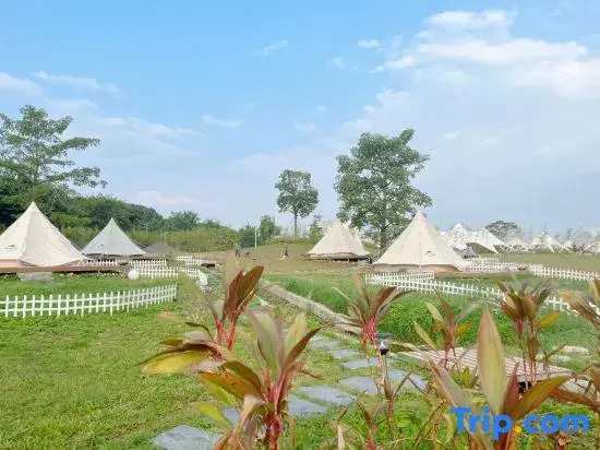 Sky Paddy Field Camp