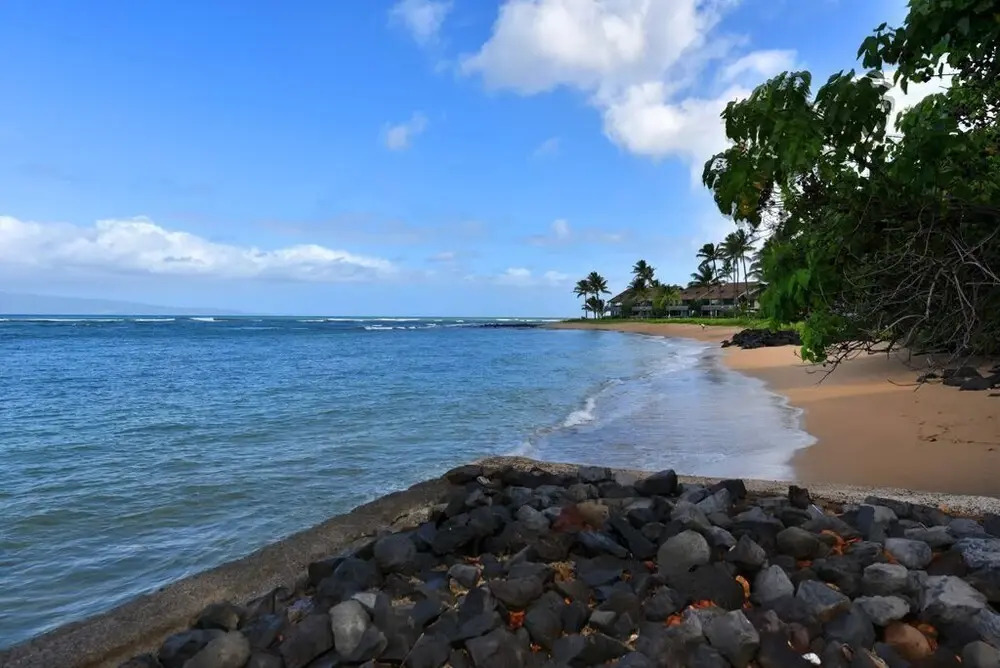 Kahana Reef 120 by RedAwning