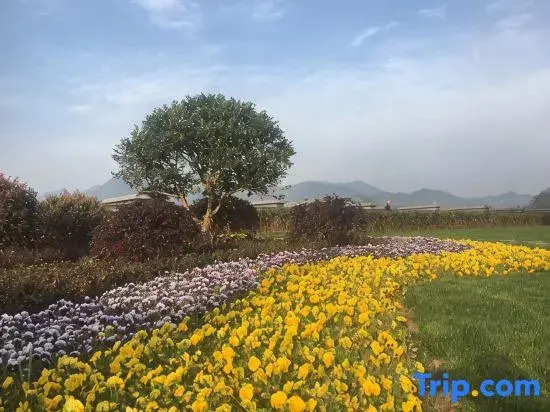 Huiyuan International Hotel
