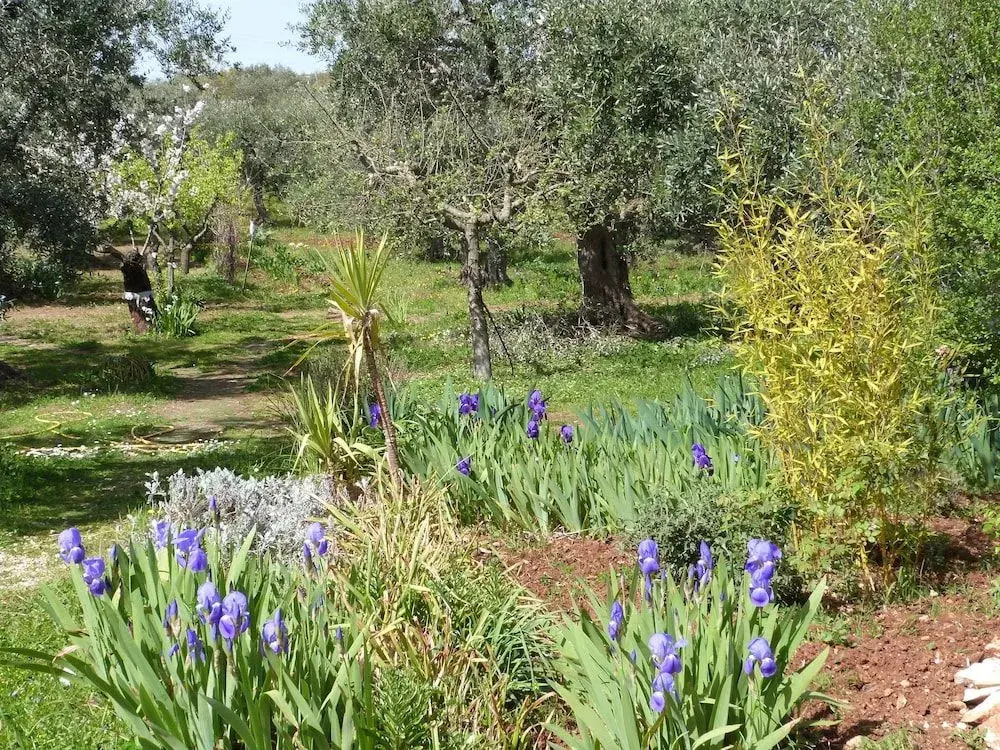 B&B Trullo Casa Rosa