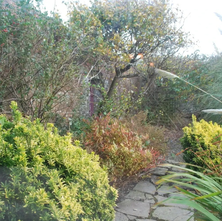 Berry Lodge Country House
