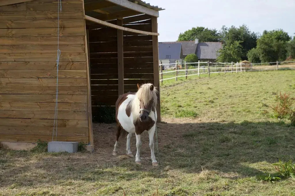 La Petite Chesnee