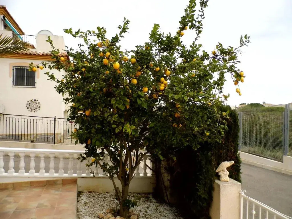 Villa Flamenca - 10 sleeps