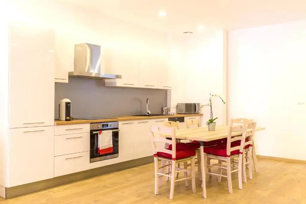 Appartement grand standing VAUBAN 10 Personnes centre historique de Colmar