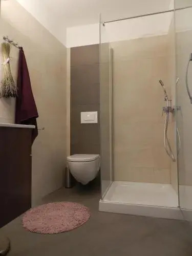 Zenja apartments & Entire property