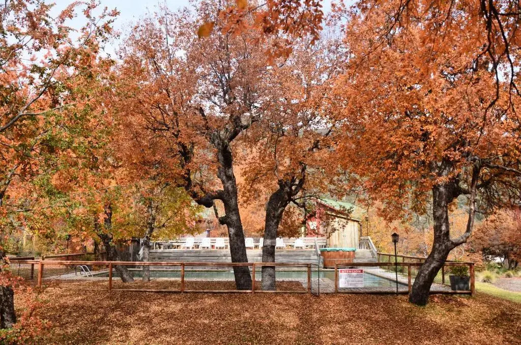 Cabañas Las Cabras