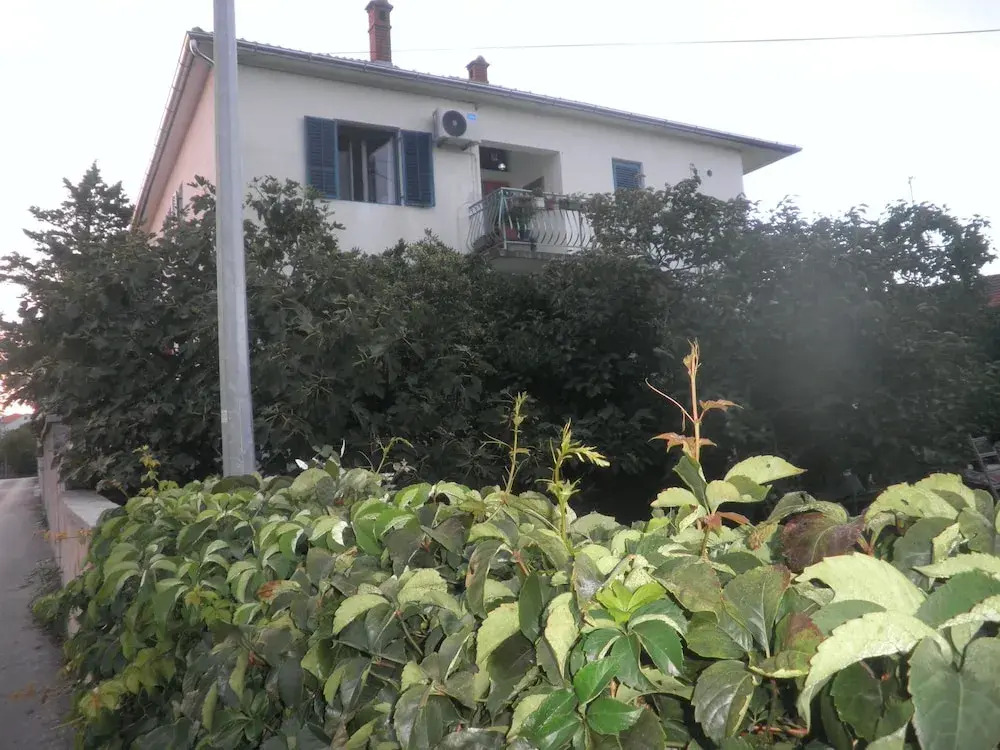 Apartment Alenka