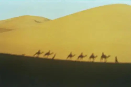 Bivouac Maroc Désert Zagora