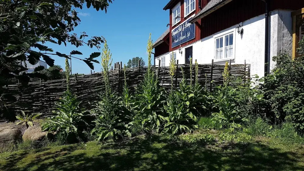 Augustas Bed & Breakfast AB