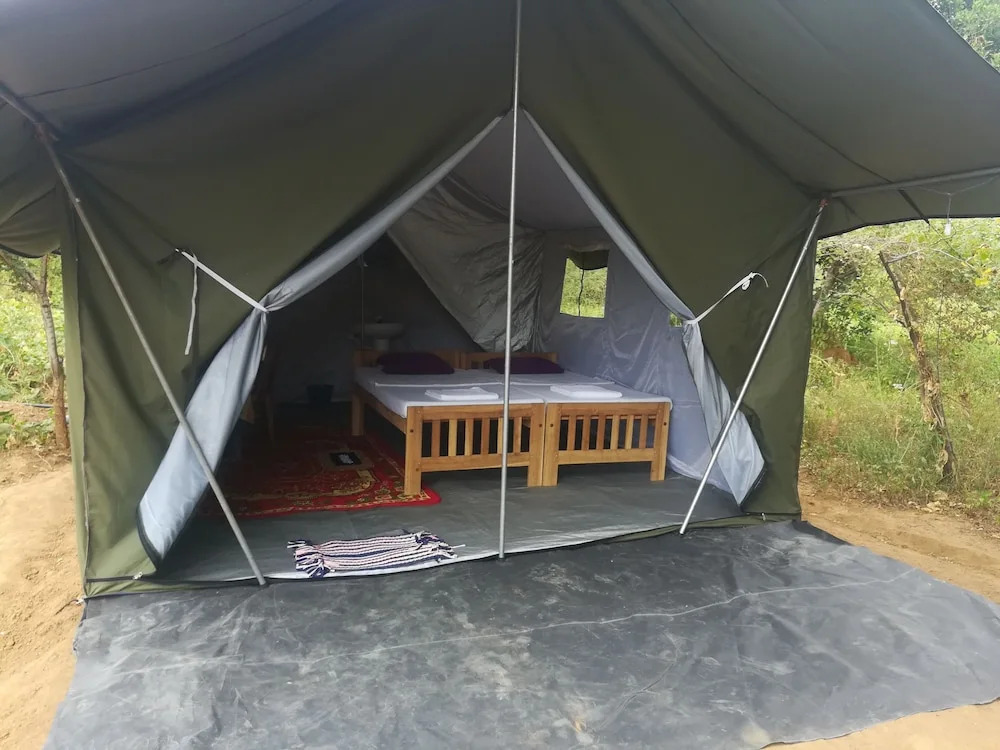 Wild eco safari
