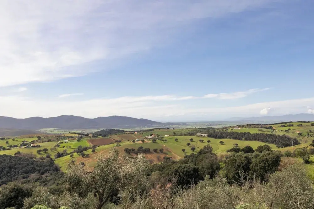 Casale Oleo
