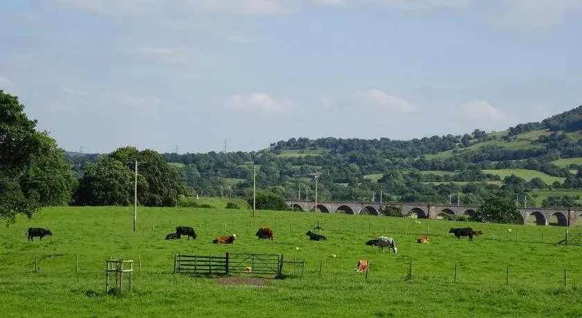 Yew Tree Farm