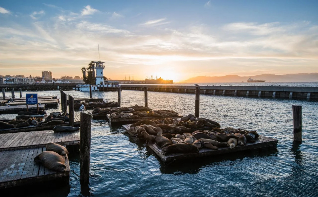 San Francisco Marriott Fishermans Wharf
