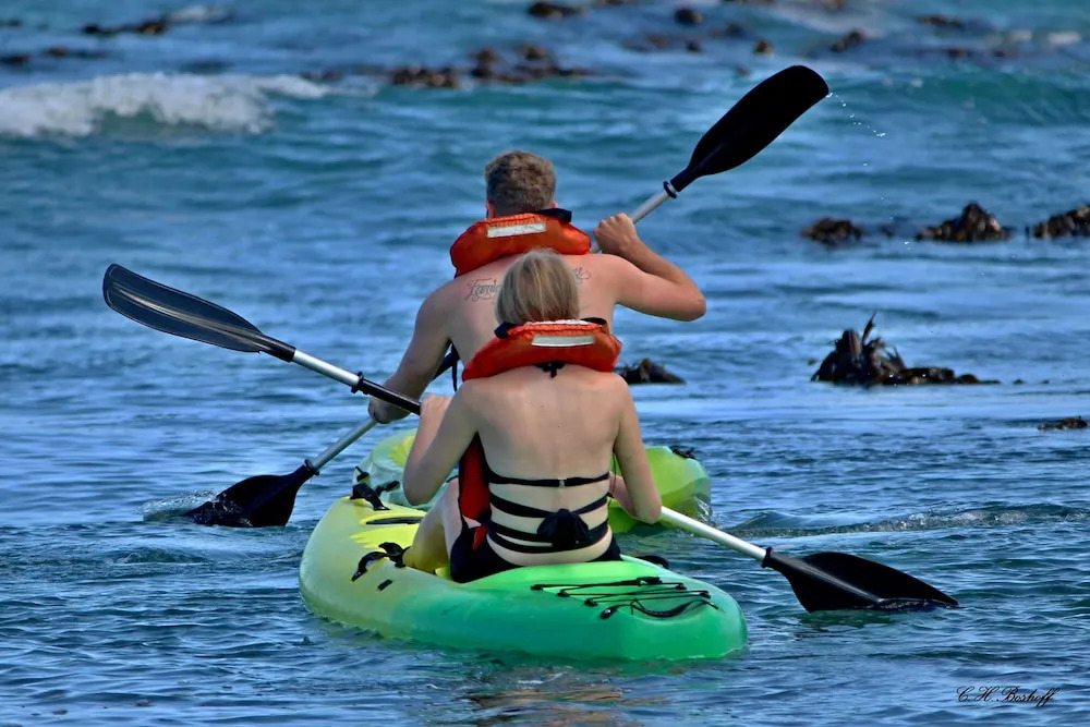 Walkerbay Accommodation