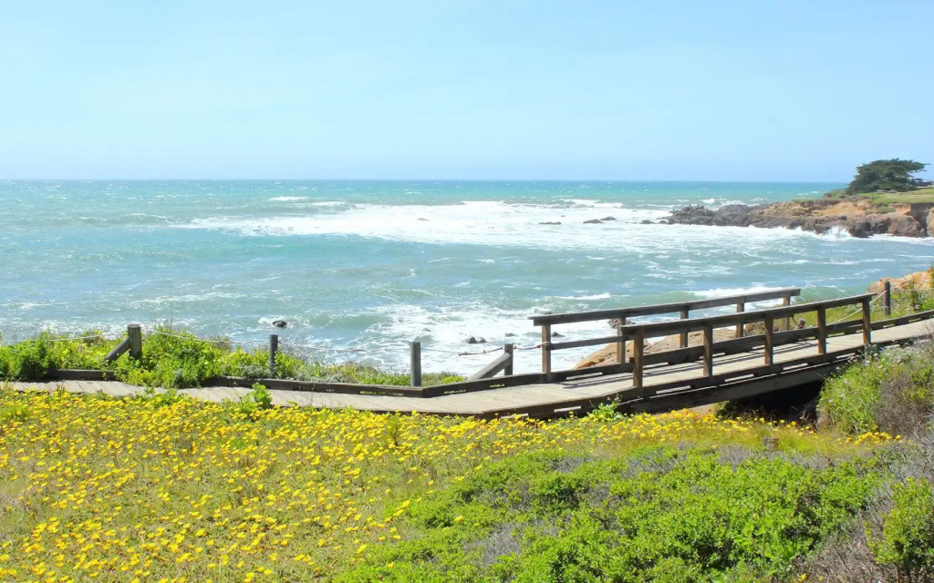 Fireside Inn on Moonstone Beach