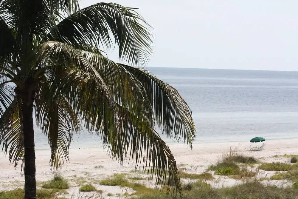 Ocean's Reach Condominiums