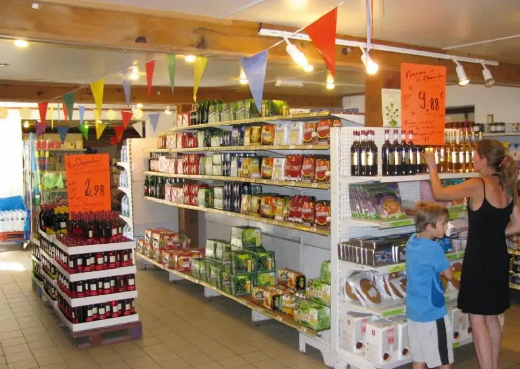 MOBIL HOME XXL2 - Palmyre Loisirs