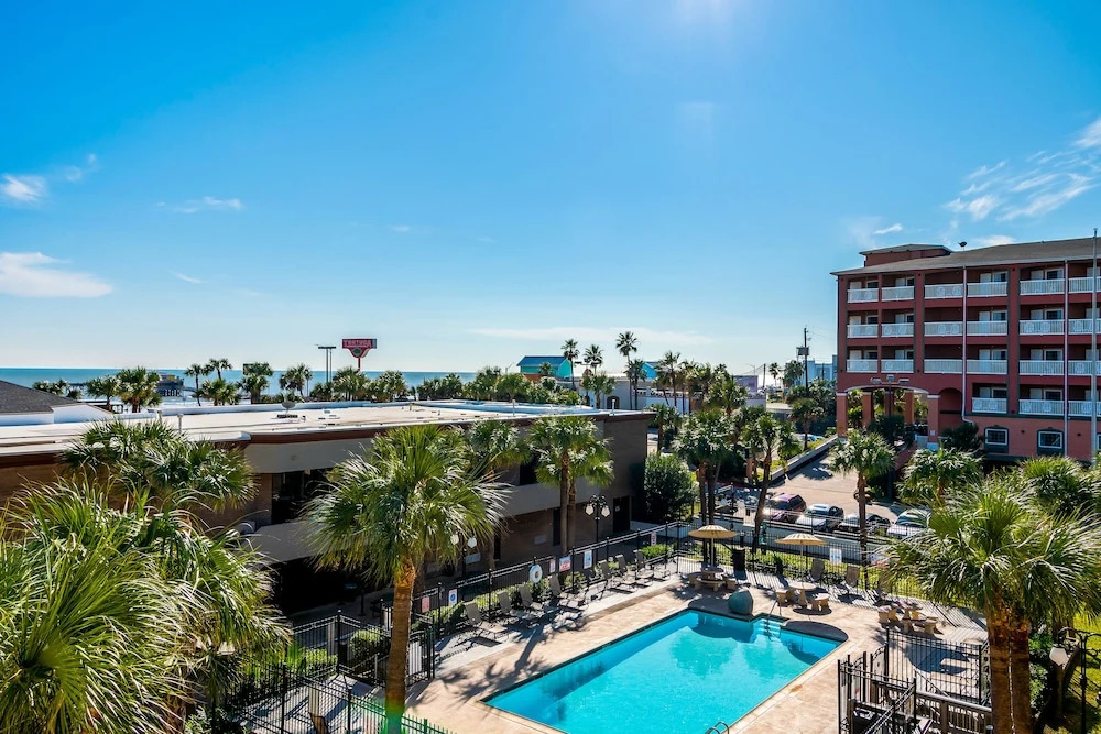 Beachfront Palms