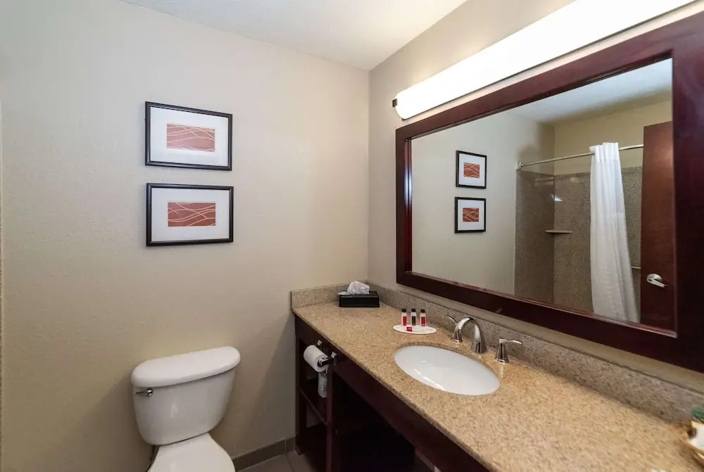 Comfort Inn (arkadelphia)