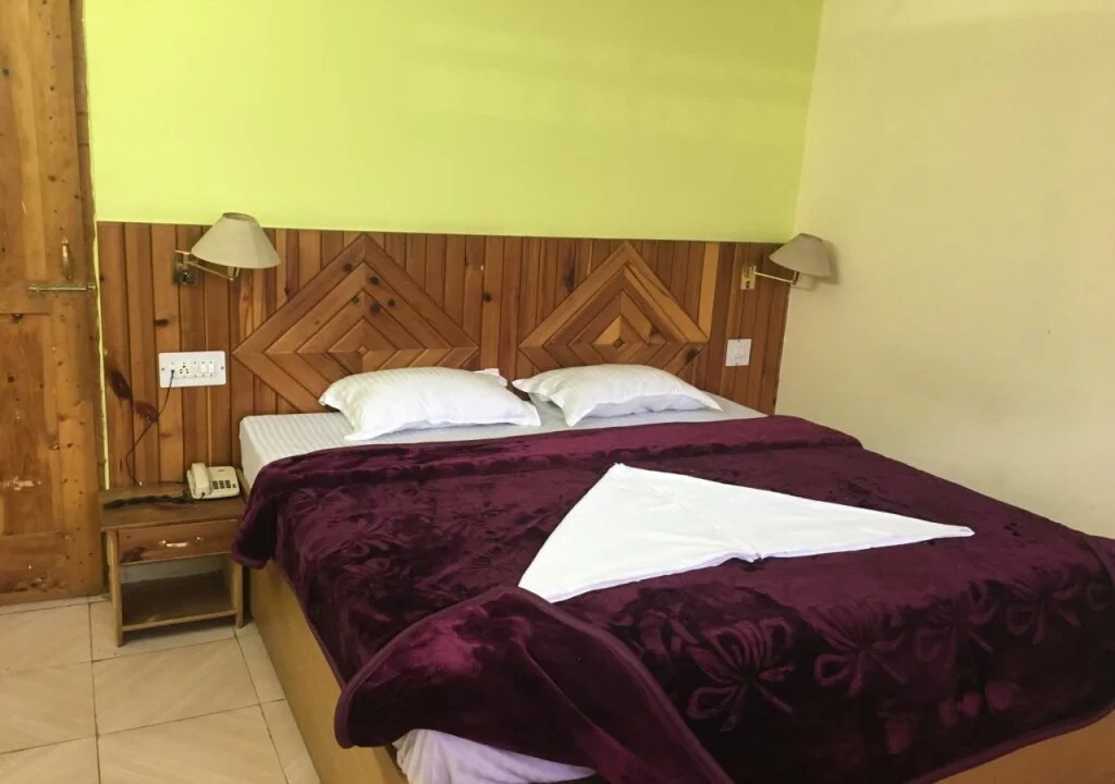 Hotel Chandertal Manali