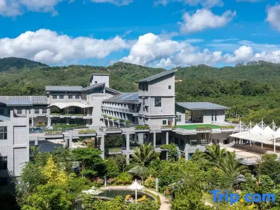 Rendi Mountain Rainforest Hotel