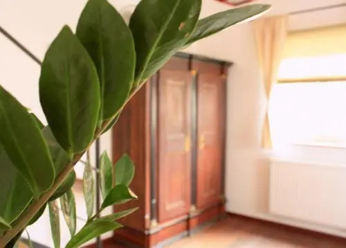 D & S Hotel Appartements
