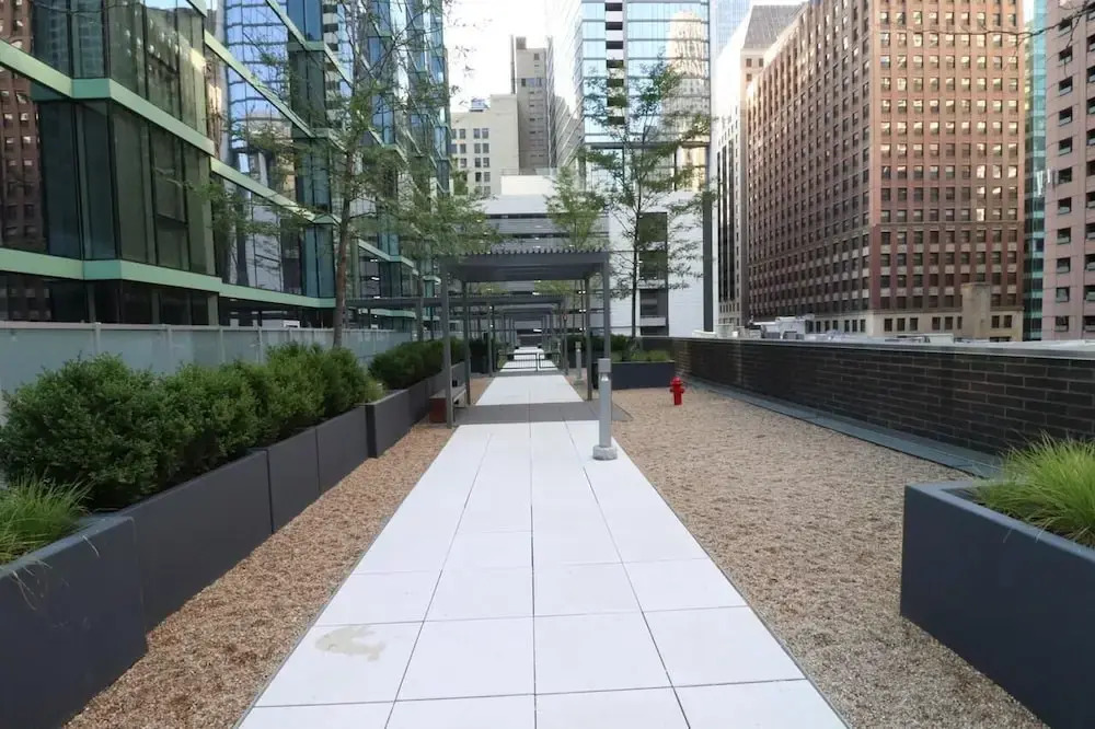 DCH 215 Lake
