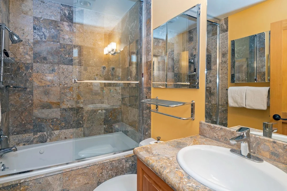 Bear Creek Lodge 310 1 Bedroom Condo by Alpine Lodging Telluride