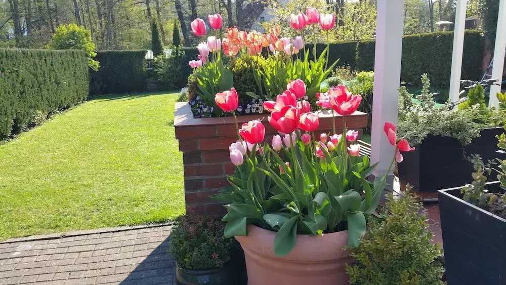Hotel-Pension Am Fuchsberg