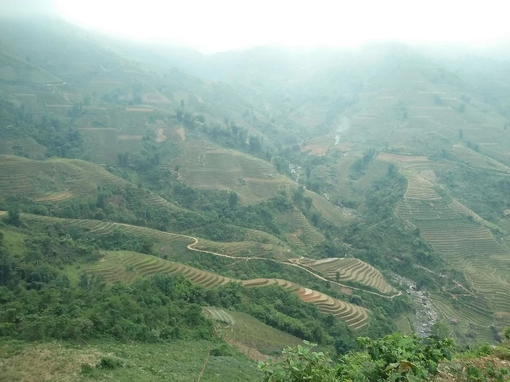 A De Homestay - Hostel