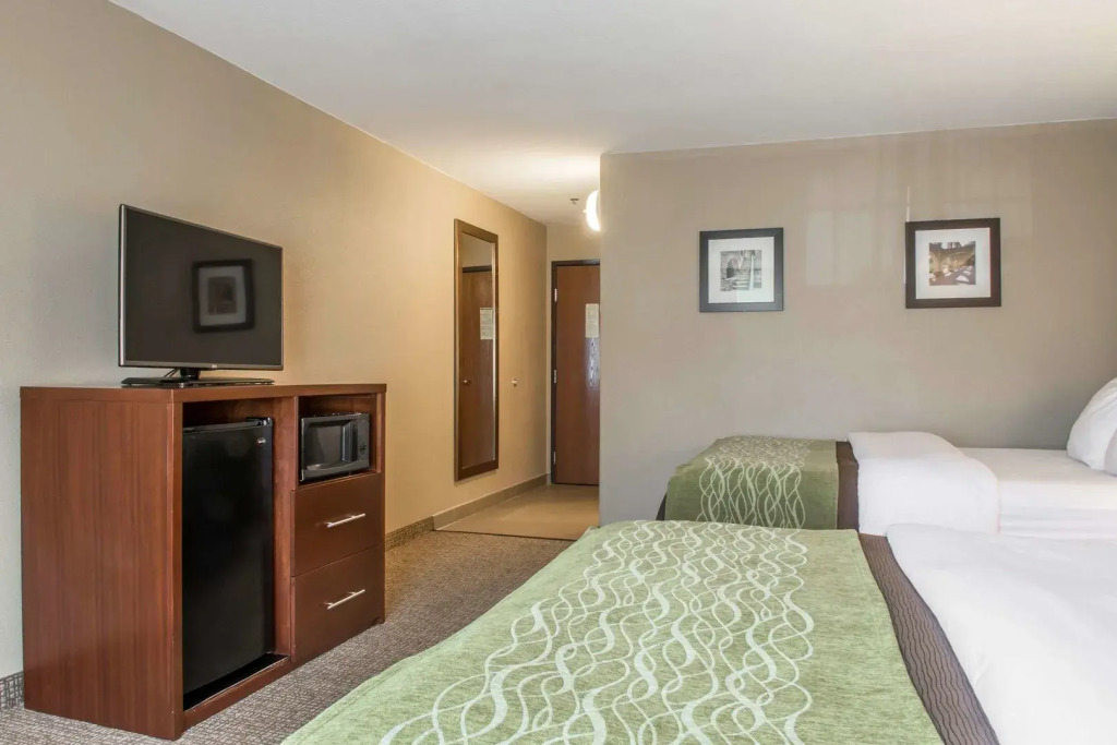 Comfort Inn Edinburg South