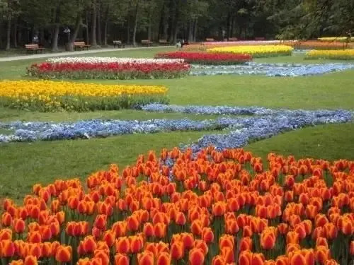 Chic And Peaceful Apart With Garden