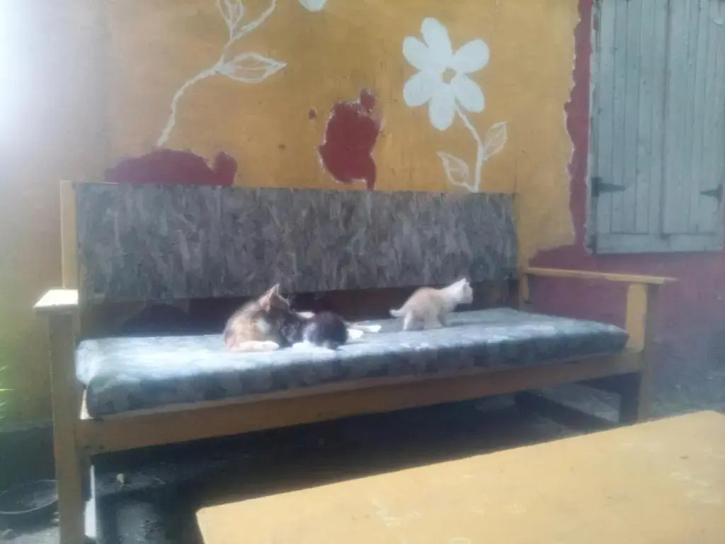 Hostel Musafir