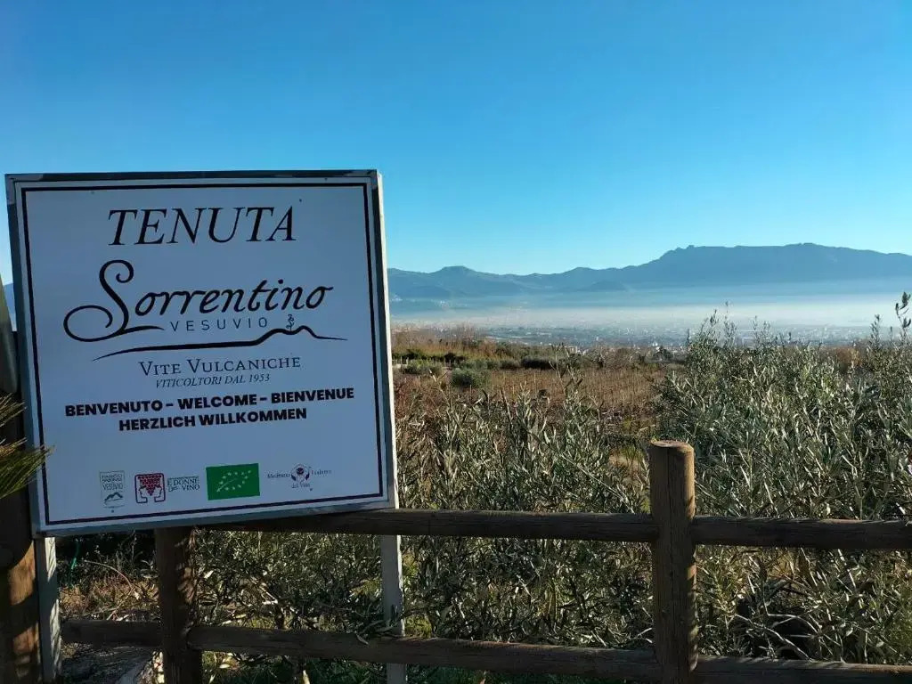 Vesuvio Inn Bed & Wine Experience