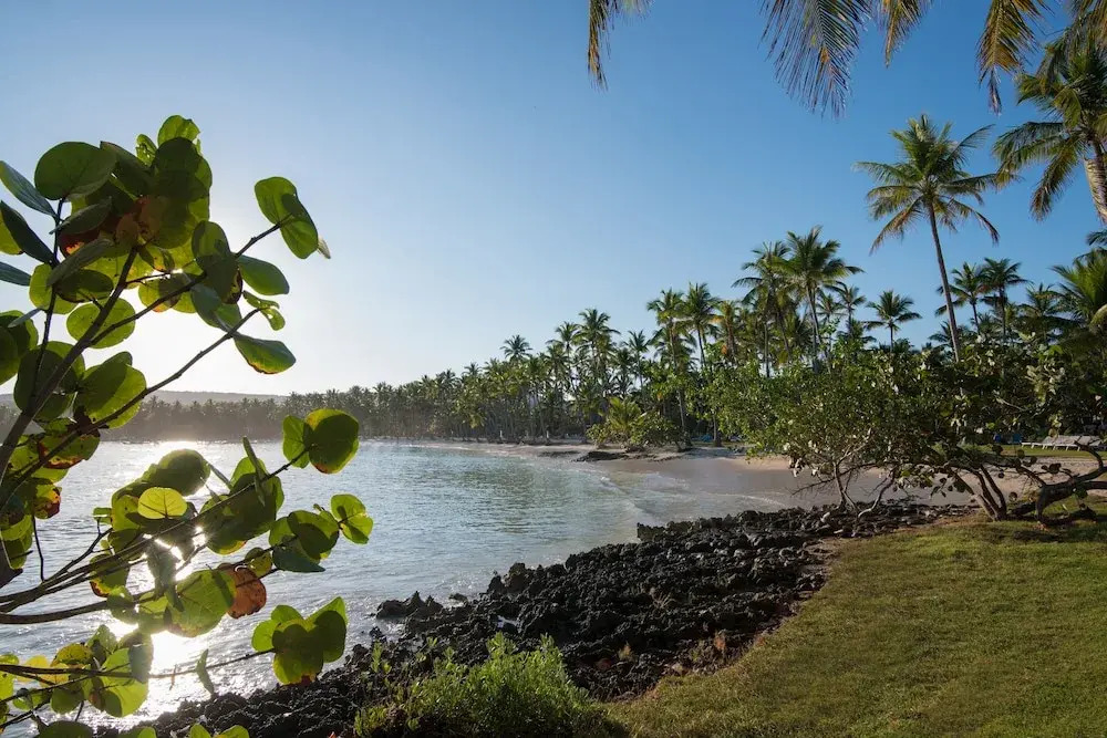 Select at Grand Paradise Samaná - All Inclusive