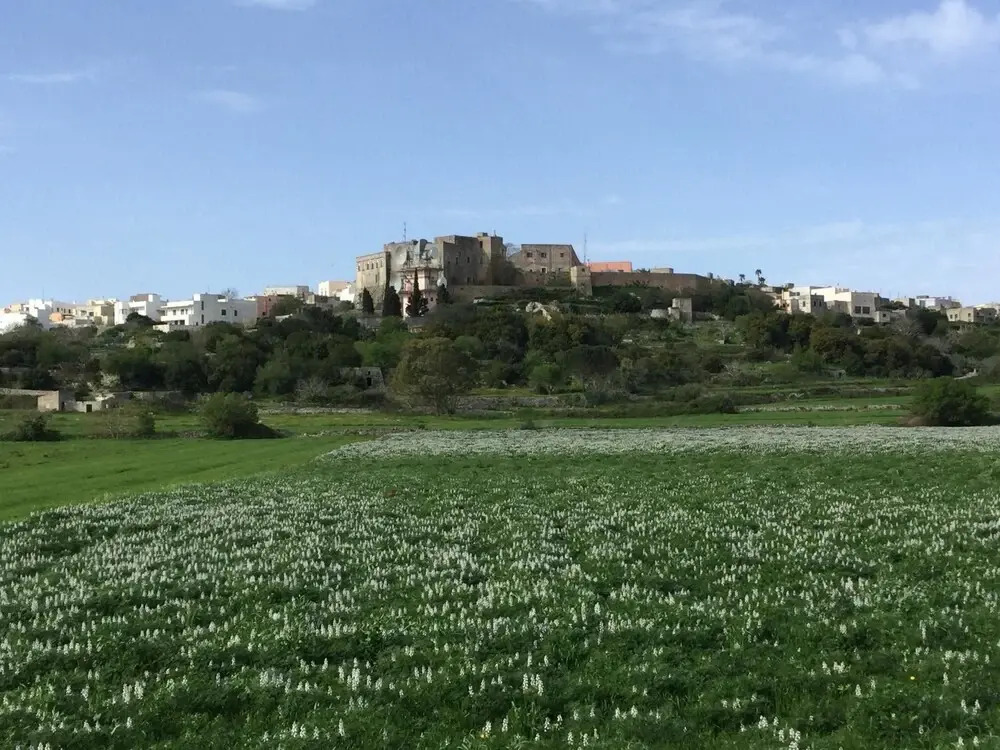Studio in Alessano, With Wonderful City View, Furnished Garden and Wif