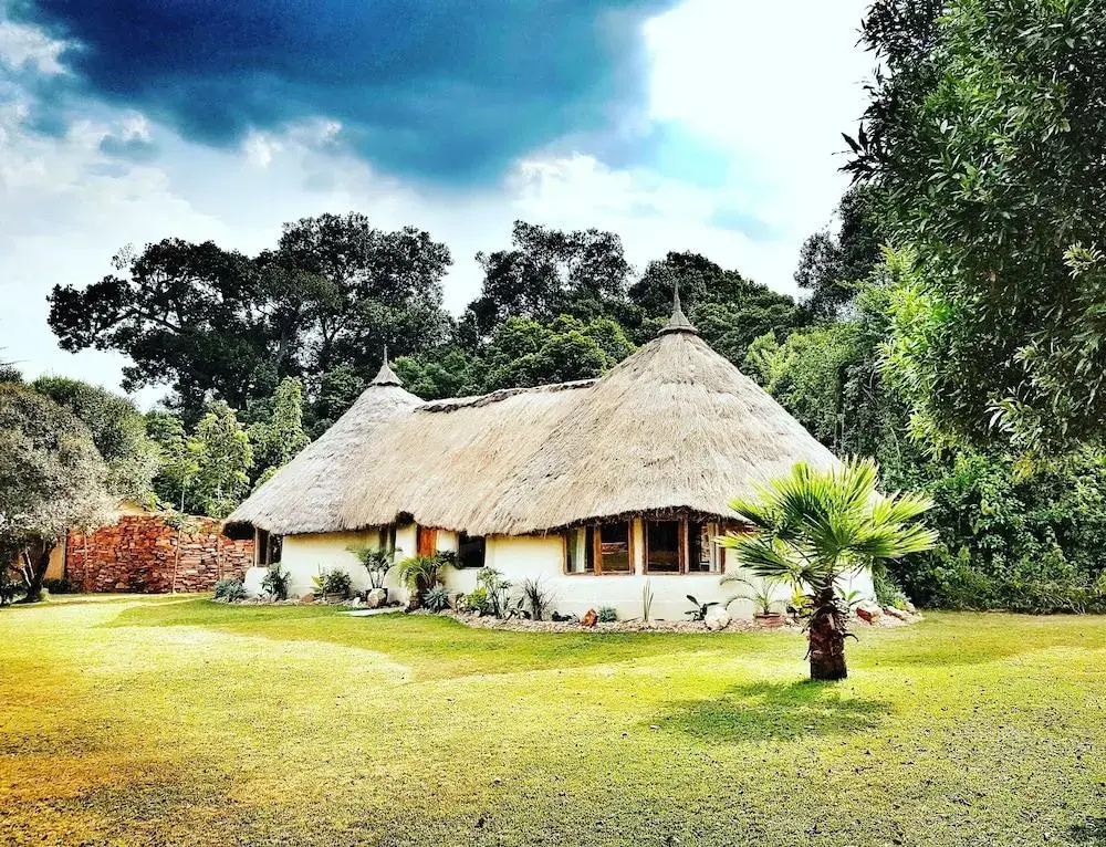 House In The Wild