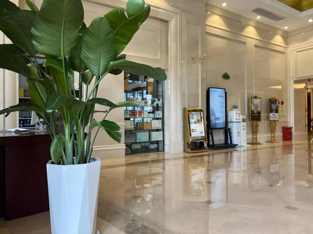 Vienna International Hotel (Dongguan Shipai Ecological Park)